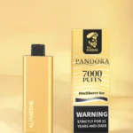 alibarbar-pandora-7000-puffs.jpg