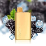 blackberry-ice-alibarbar-rich-8000-vape.jpg