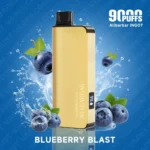 blueberry-blast-alibarbar-ingot-9000-vape.jpg