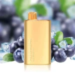 blueberry-ice-alibarbar-rich-8000-vape.jpg