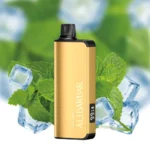 cool-mint-alibarbar-ingot-20000-vape.jpg
