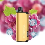 grape-ice-alibarbar-ingot-20000-vape.jpg