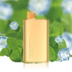 mint-breeze-alibarbar-rich-8000-vape.jpg