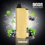 ribena-alibarbar-ingot-9000-vape.jpg
